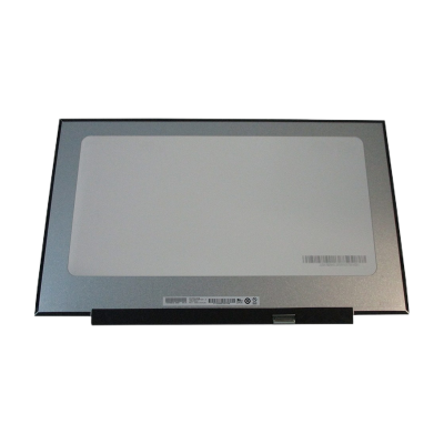 מסך למחשב נייד Led 30p 1600*900 LC 17.3